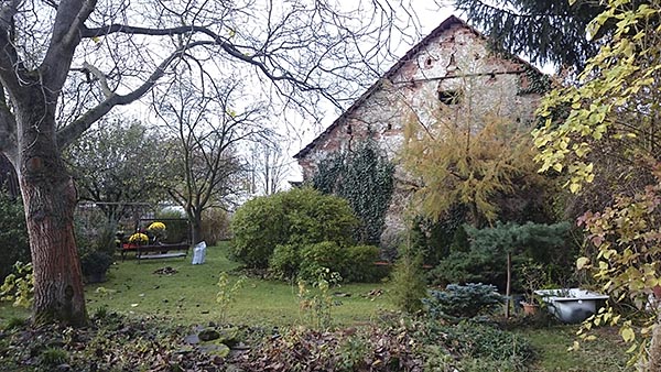 architektonická studie na venkovský rodinný dům v Divišově